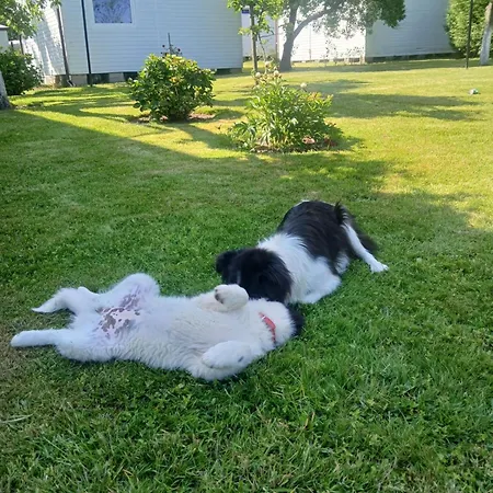 Spokojna 5 Osobowy Погожелица