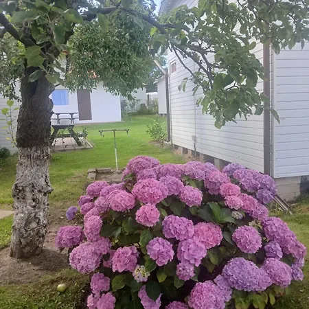 Spokojna 5 Osobowy * Pogorzelica (Gmina Rewal)