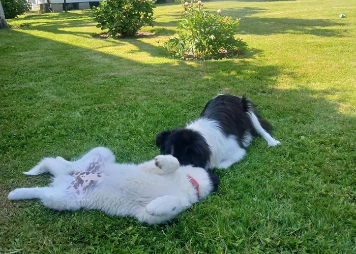 Spokojna 5 Osobowy Pogorzelica (Gmina Rewal)